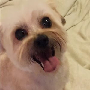 Meet your Posher, Larry